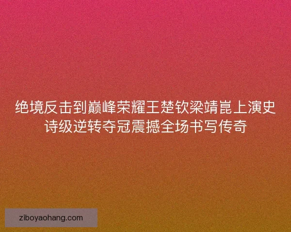 绝境反击到巅峰荣耀王楚钦梁靖崑上演史诗级逆转夺冠震撼全场书写传奇