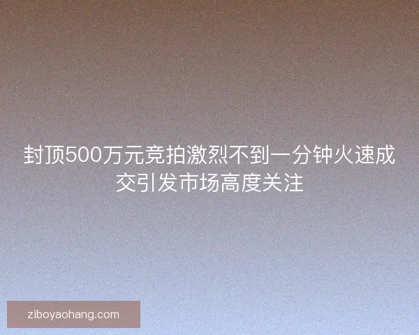 封顶500万元竞拍激烈不到一分钟火速成交引发市场高度关注