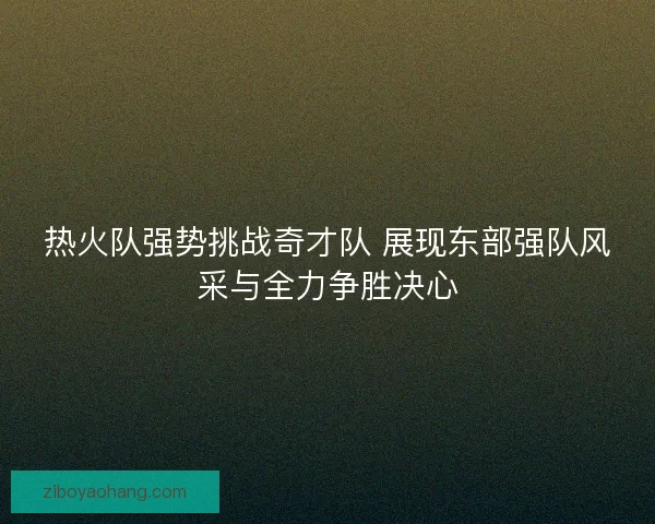 热火队强势挑战奇才队 展现东部强队风采与全力争胜决心