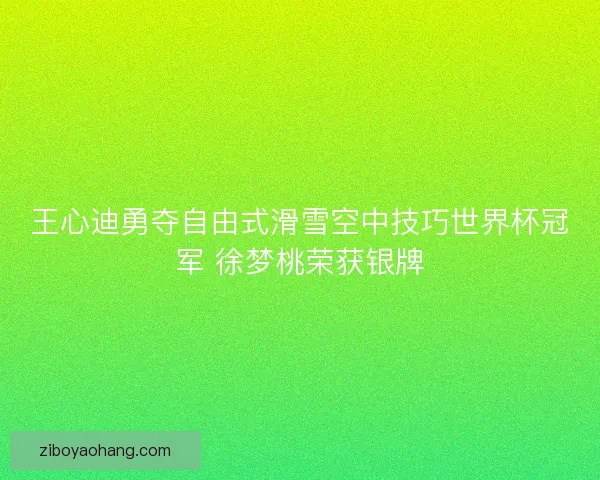 王心迪勇夺自由式滑雪空中技巧世界杯冠军 徐梦桃荣获银牌